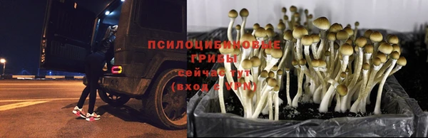 наркотики Беломорск