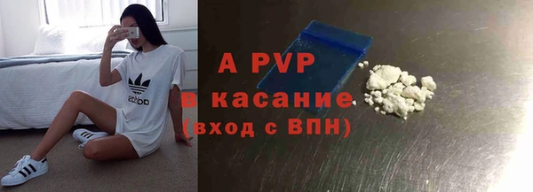 a pvp Белокуриха