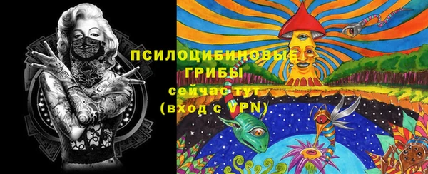 a pvp Белокуриха