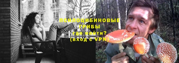 a pvp Белокуриха