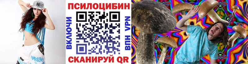 Псилоцибиновые грибы Psilocybe  Верхний Уфалей 